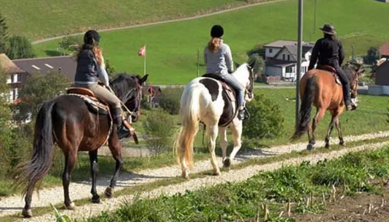 Sorties accompagnées à cheval