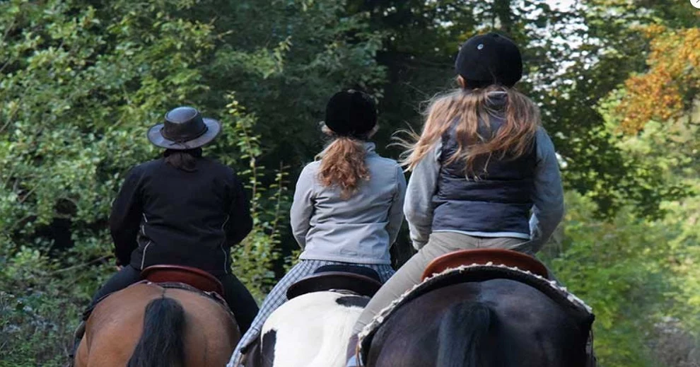 Semaine soin chevaux et équitation