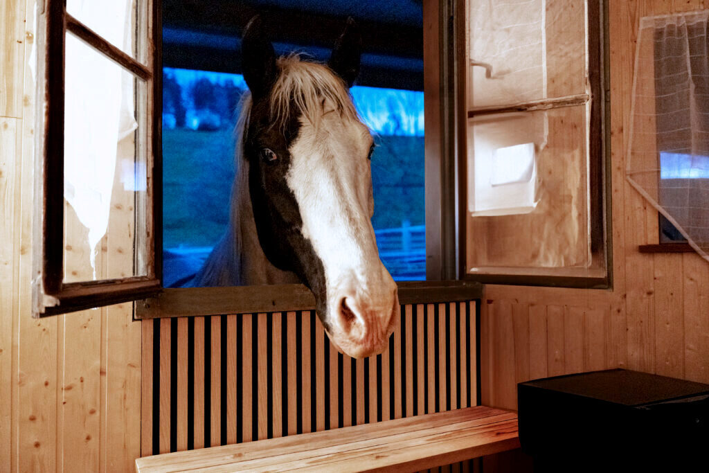 Hôtellerie au Miramont