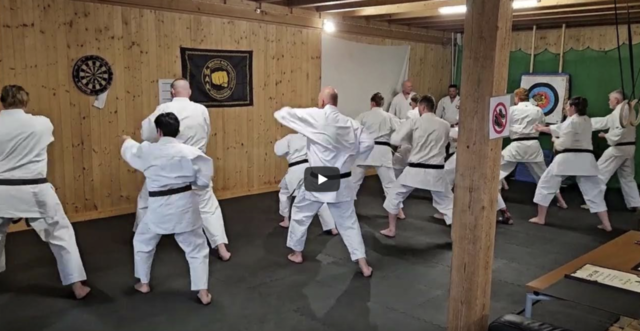 Festival Interclub de Suisse au Miramont – Seishin Ryu Jitsu