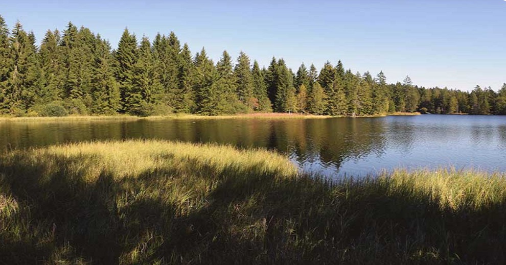 Bien-être & région