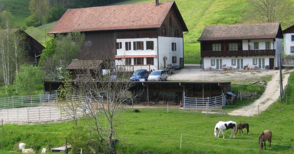 Cadre naturel d'équicoaching dans le Jura bernois