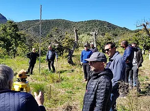 Expérience collective en extérieur pour renforcer la cohésion